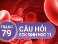 Câu hỏi thảo luận trang 79 SGK Sinh học 11