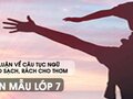 Bàn luận về câu tục ngữ Đói cho sạch, rách cho thơm - Văn mẫu 7