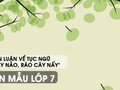 Bàn luận về tục ngữ Ăn cây nào, rào cây nấy - Văn mẫu 7