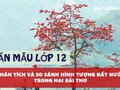 Phân tích và so sánh hình tượng đất nước trong hai bài thơ cùng tên Đất nước