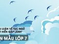 Bàn luận về tục ngữ Ở hiền gặp lành - Văn mẫu 7