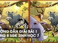 Hướng dẫn giải bài 1 trang 8 sgk Sinh học 7