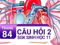 Câu hỏi thảo luận 2 trang 84 SGK Sinh 11