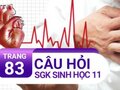 Câu hỏi thảo luận trang 83 SGK Sinh 11