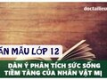 Dàn ý phân tích sức sống tiềm tàng của Mị trong Vợ chồng A Phủ