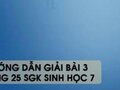 Hướng dẫn giải bài 3 trang 25 sgk Sinh học 7