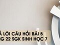 Hướng dẫn trả lời câu hỏi bài 5 trang 22 sgk Sinh học 7
