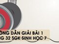 Hướng dẫn giải bài 1 trang 32 sgk Sinh học 7