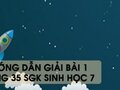Hướng dẫn giải bài 1 trang 35 sgk Sinh học 7