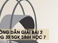 Hướng dẫn giải bài 2 trang 32 sgk Sinh học 7