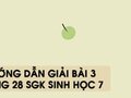 Hướng dẫn giải bài 3 trang 28 sgk Sinh học 7