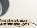 Hướng dẫn giải bài 3 trang 32 sgk Sinh học 7