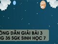 Hướng dẫn giải bài 3 trang 35 sgk Sinh học 7