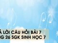 Hướng dẫn trả lời câu hỏi bài 7 trang 26 sgk Sinh học 7