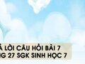 Hướng dẫn trả lời câu hỏi bài 7 trang 27 sgk Sinh học 7