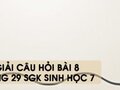 Hướng dẫn trả lời câu hỏi bài 8 trang 29 sgk Sinh học 7