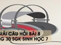 Hướng dẫn trả lời câu hỏi bài 8 trang 31 sgk Sinh học 7