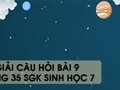 Hướng dẫn trả lời câu hỏi bài 9 trang 35 sgk Sinh học 7