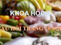 Trả lời câu hỏi trang 10 SGK Khoa học 4