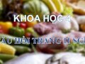 Trả lời câu hỏi trang 11 SGK Khoa học 4