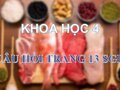 Trả lời câu hỏi trang 13 SGK Khoa học 4