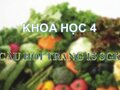 Trả lời câu hỏi trang 15 SGK Khoa học 4