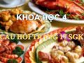 Trả lời câu hỏi trang 17 SGK Khoa học 4