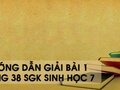 Hướng dẫn giải bài 1 trang 38 sgk Sinh học 7