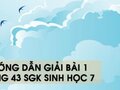 Hướng dẫn giải bài 1 trang 43 sgk Sinh học 7