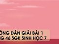 Hướng dẫn giải bài 1 trang 46 sgk Sinh học 7