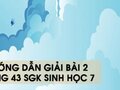 Hướng dẫn giải bài 2 trang 43 sgk Sinh học 7