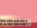 Hướng dẫn giải bài 2 trang 46 sgk Sinh học 7