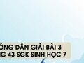 Hướng dẫn giải bài 3 trang 43 sgk Sinh học 7