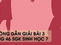 Hướng dẫn giải bài 3 trang 46 sgk Sinh học 7