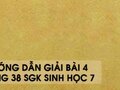 Hướng dẫn giải bài 4 trang 38 sgk Sinh học 7