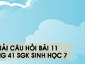 Hướng dẫn trả lời câu hỏi bài 11 trang 41 sgk Sinh học 7