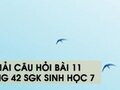 Hướng dẫn trả lời câu hỏi bài 11 trang 42 sgk Sinh học 7