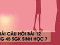 Hướng dẫn trả lời câu hỏi bài 12 trang 45 sgk Sinh học 7