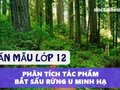 Phân tích truyện Bắt sấu rừng U Minh Hạ - Văn mẫu lớp 12