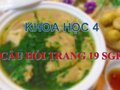 Trả lời câu hỏi trang 19 SGK Khoa học 4