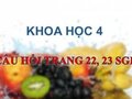 Trả lời câu hỏi trang 22, 23 SGK Khoa học 4