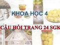 Trả lời câu hỏi trang 24 SGK Khoa học 4
