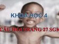Trả lời câu hỏi trang 27 SGK Khoa học 4