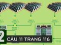 Câu 12 trang 116 sgk công nghệ lớp 12