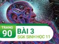 Câu 3 trang 90 SGK Sinh học 11