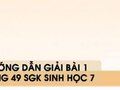Hướng dẫn giải bài 1 trang 49 sgk Sinh học 7