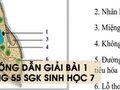 Hướng dẫn giải bài 1 trang 55 sgk Sinh học 7