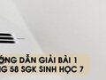 Hướng dẫn giải bài 1 trang 58 sgk Sinh học 7