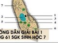 Hướng dẫn giải bài 1 trang 61 sgk Sinh học 7
