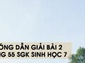 Hướng dẫn giải bài 2 trang 55 sgk Sinh học 7